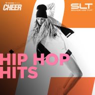Hip Hop Hits (SLT Remix)