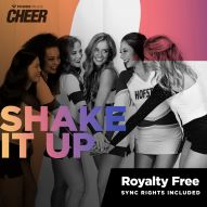 Shake It Up (SLT Remix)