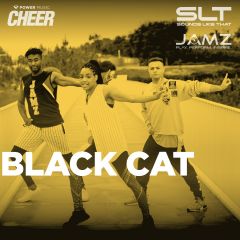 Black Cat - JAMZ Camp 22 (SLT Remix)