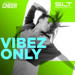 Vibez Only - Hip Hop (SLT Remix)