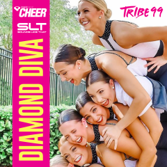 Diamonds Diva -Tribe99 (SLT Remix)