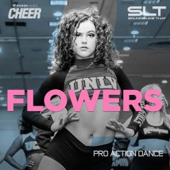 Flowers - Pro Action Dance 23 (SLT Remix)