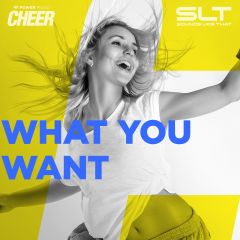 What You Want – Hip Hop  – (SLT Remix)