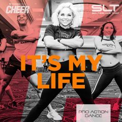 It's My Life - Pro Action Dance 22 (SLT Remix)