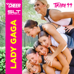 Lady Gaga Mix -Tribe99 (SLT Remix)