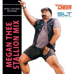 Megan thee stallion mix - Pro Action Dance (SLT Remix)