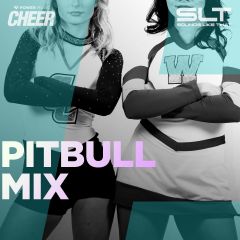 Pitbull Mix (SLT Remix)