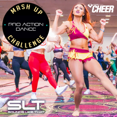 Pro Action Dance - Mash Up Challenge (SLT Remix)