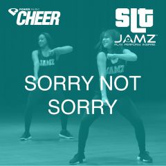 Sorry Not Sorry - JAMZ Camp (SLT Remix)