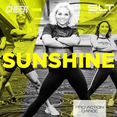 Sunshine - Pro Action Dance 22 (SLT Remix)