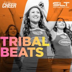 Tribal Beats - Pom - 2min (SLT Remix)