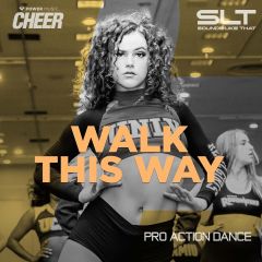 Walk This Way - Pro Action Dance 23 (SLT Remix)