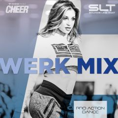 Werk Mix - Pro Action Dance (SLT Remix)