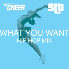 What You Want – Hip Hop  – (SLT Remix)